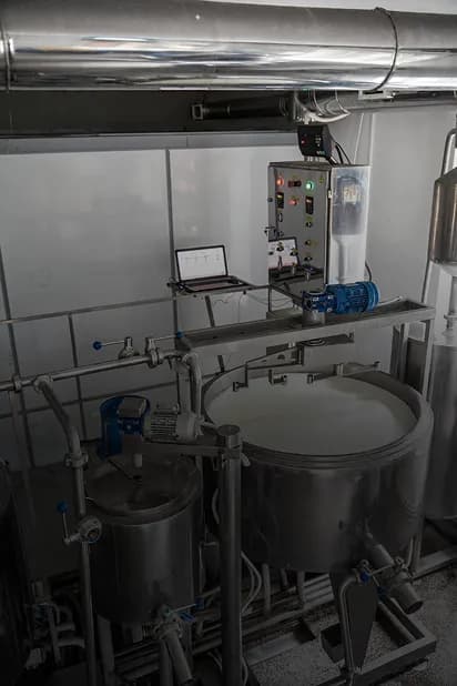Dairy