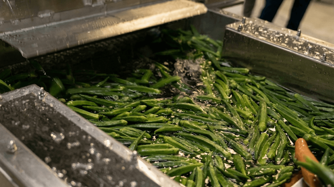 Institutional Kitchen: Akshayapatra Foundation