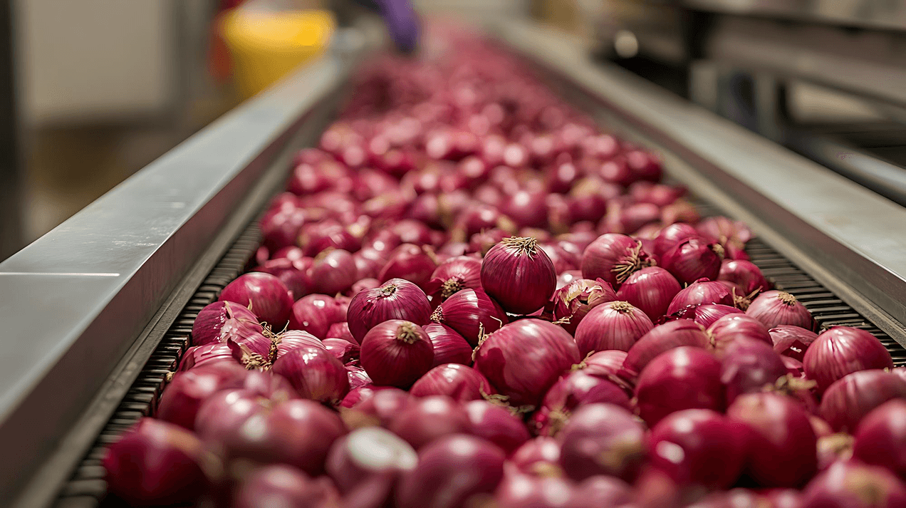 Multi-Location Food Processor